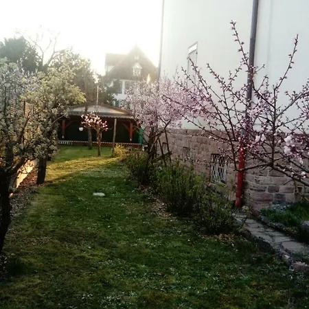 La Baloise Appartement